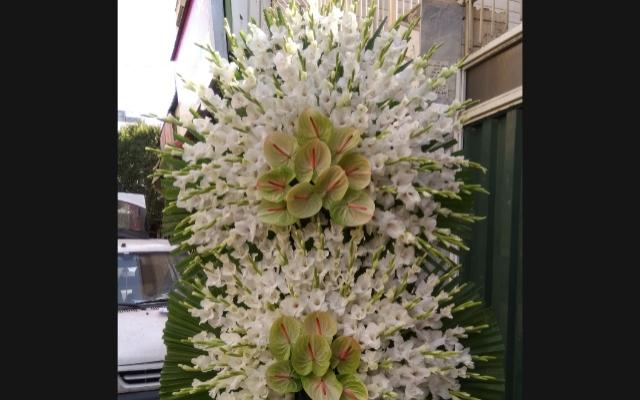 موسسه گل و گیاه سرلک - تهران