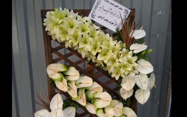 موسسه گل و گیاه سرلک - تهران